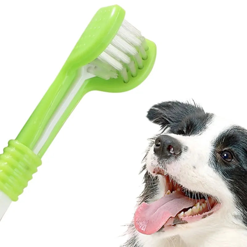 Dog with a green and white pet toothbrush on a white background