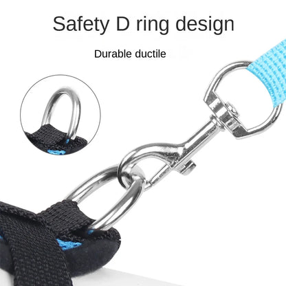 Dog leash with safety D ring design on a white background