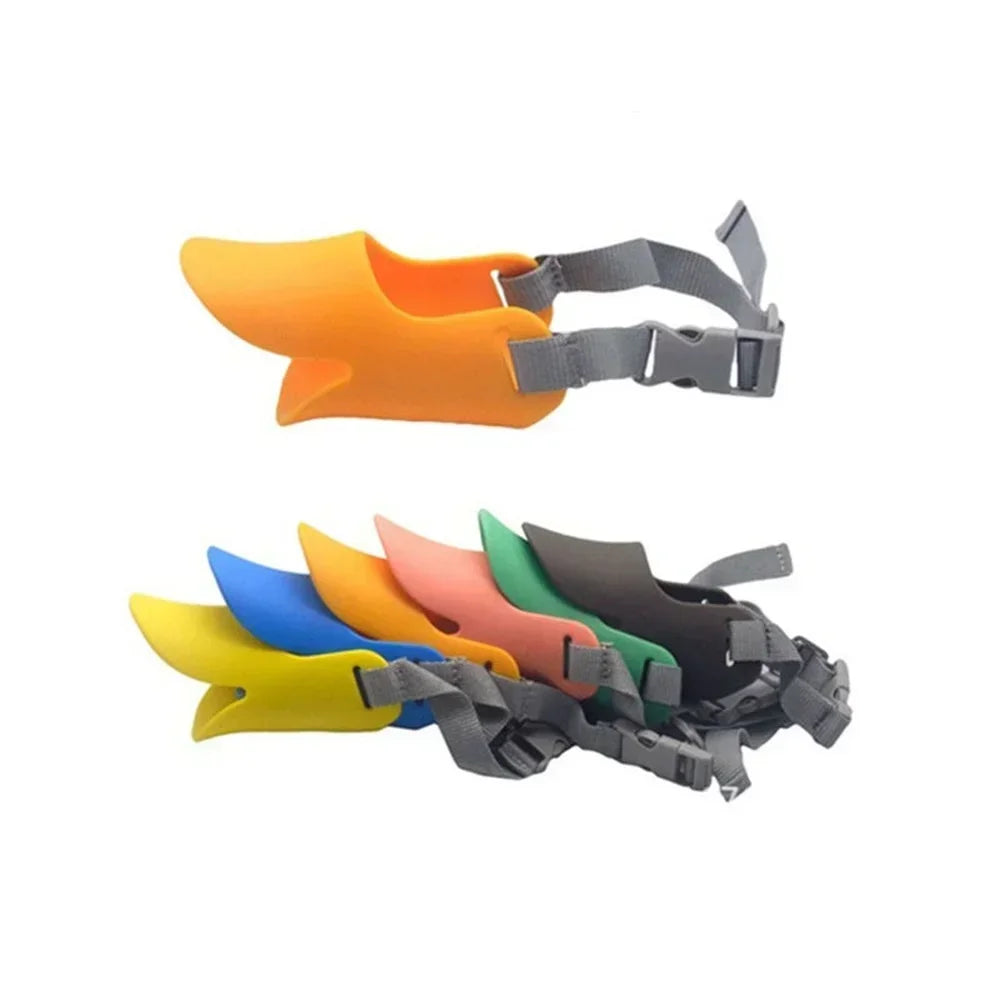 Colorful winged foot straps with gray straps on a white background