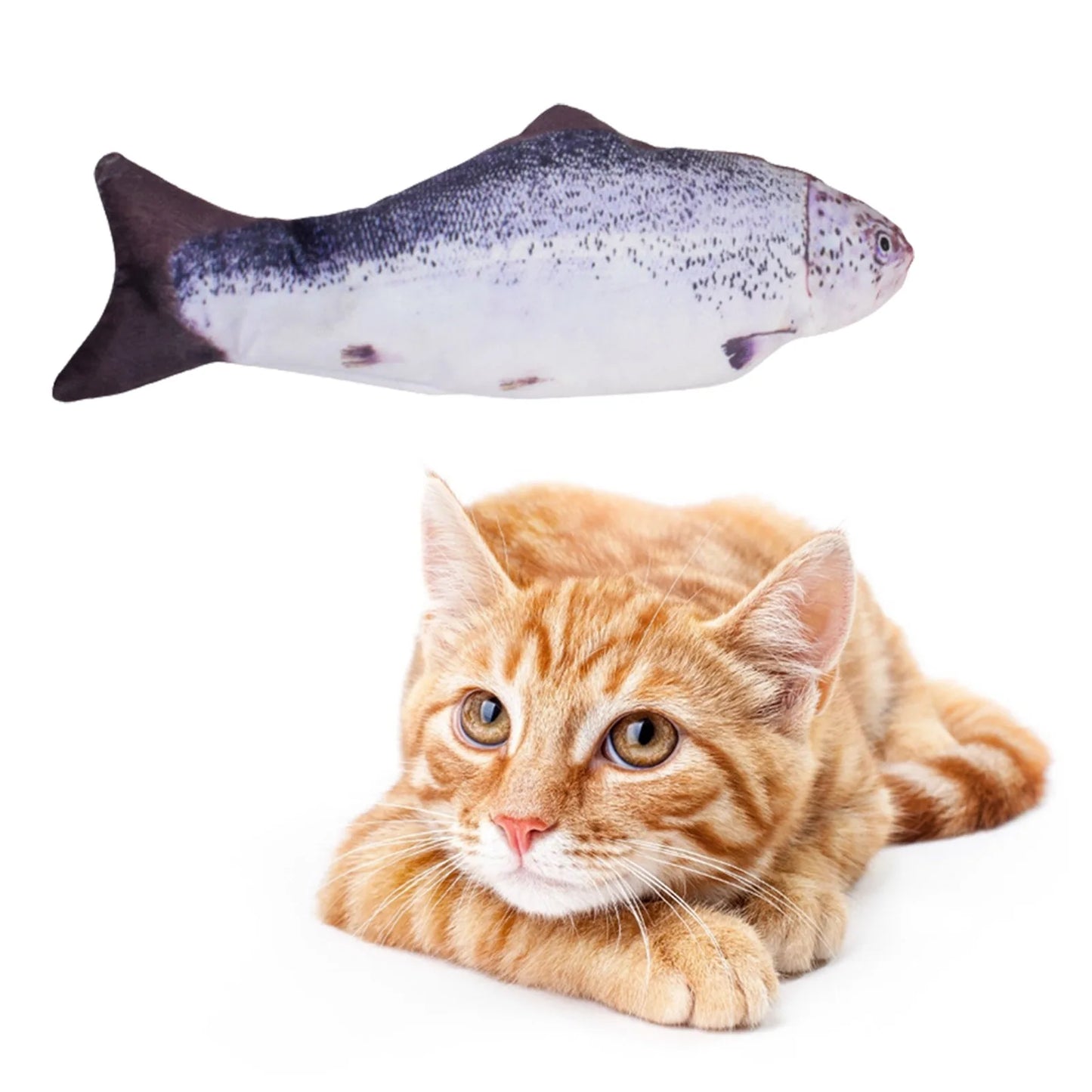 Cat lying next to a fish-shaped toy on a white background