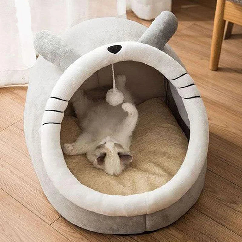 Cat playing with a toy inside a shark-shaped pet bed on a wooden floor.