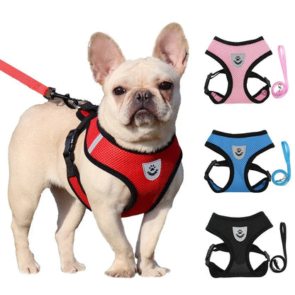 Dog wearing a red harness with additional harnesses in pink, blue, and black displayed above on a white background.