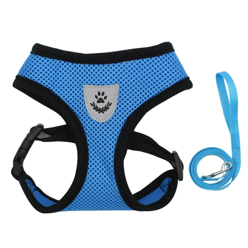 Blue dog harness and leash set on a white background