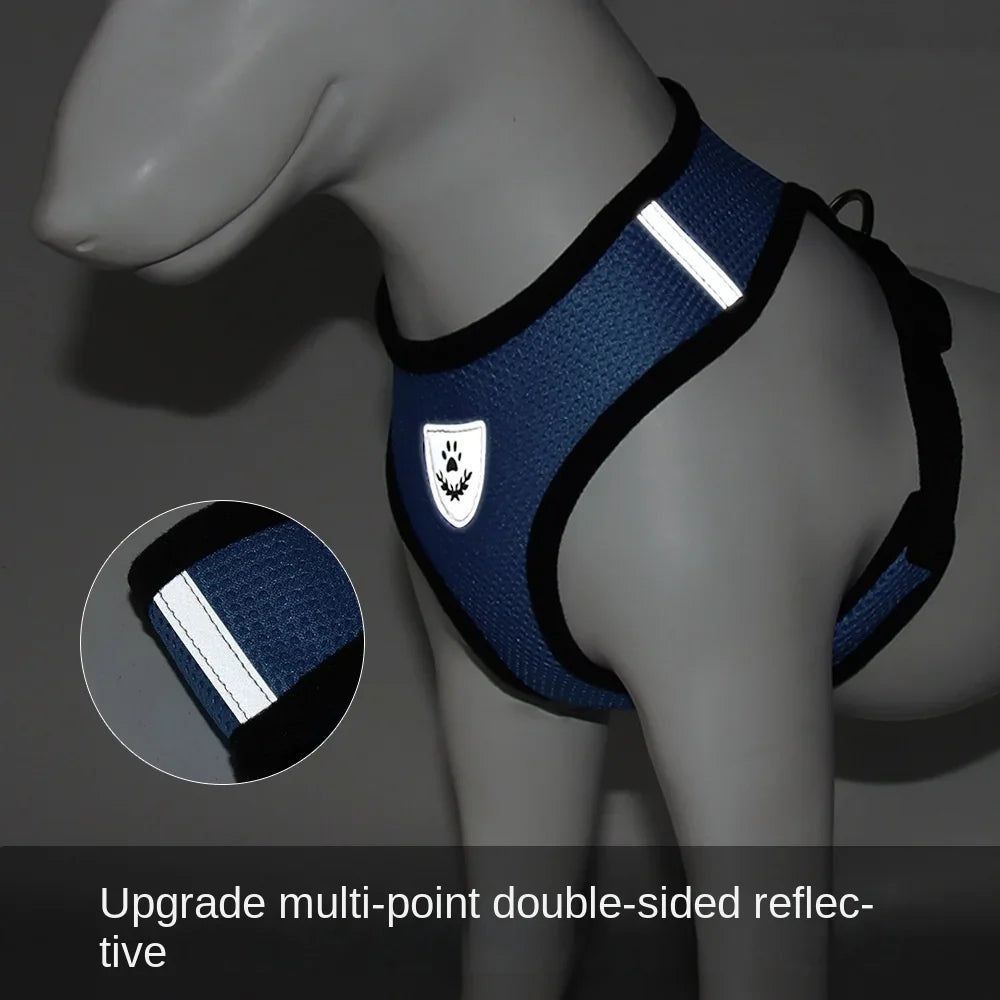 Blue dog harness with reflective stripes on a mannequin, close-up inset showing reflective material.