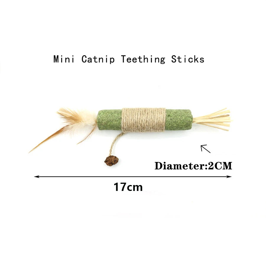 Mini catnip teething stick with dimensions on a white background