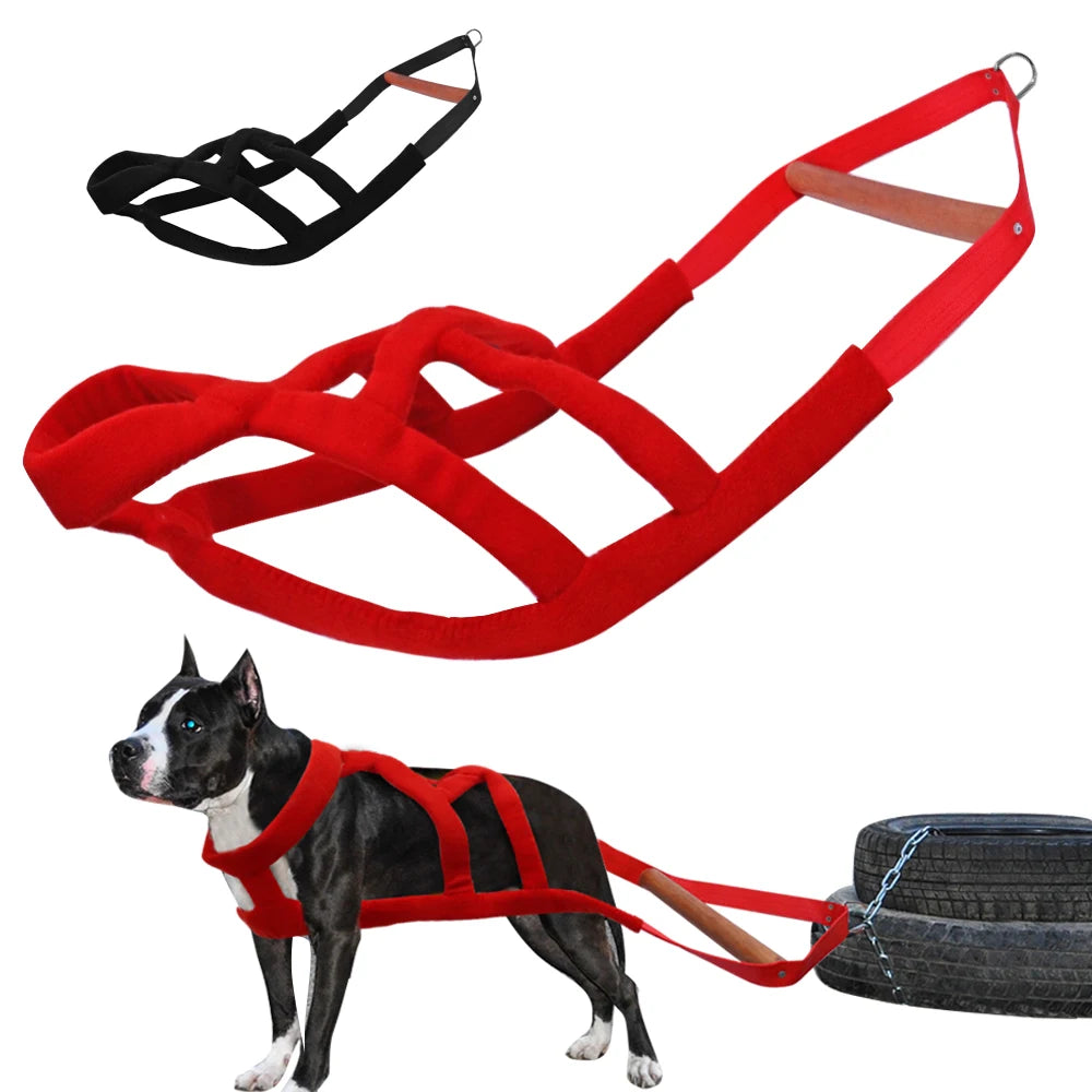 Red dog harness with handle and tire attached, black harness on white background