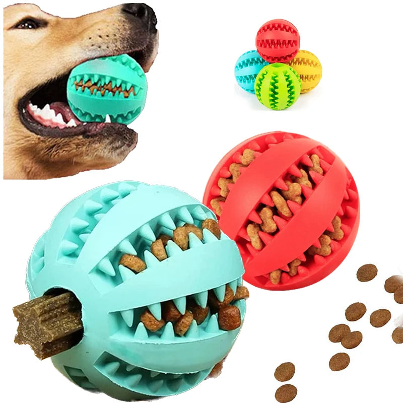 Dog toys with treats embedded, including a blue and red ball, with a dog biting a green toy.