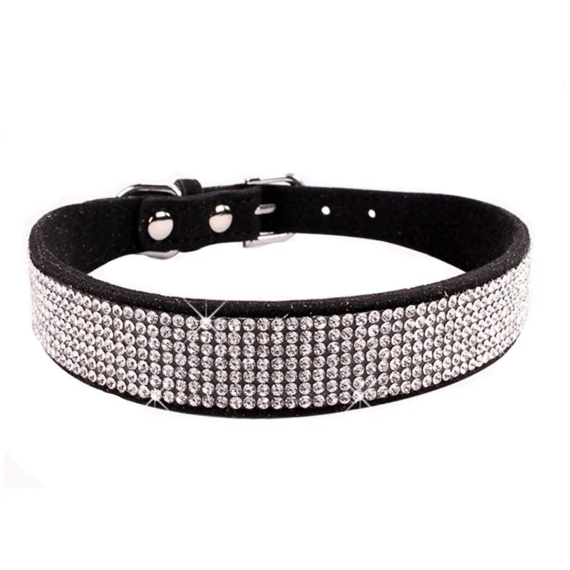 Black leather dog collar with silver rhinestones on a white background