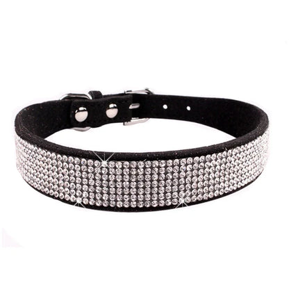 Black leather dog collar with silver rhinestones on a white background