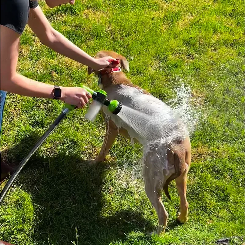 Dog being sprayed with water from a hose on a grassy area