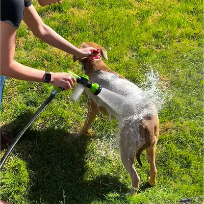 Dog being sprayed with water from a hose on a grassy area