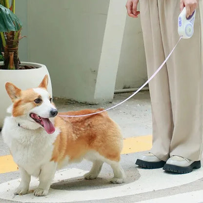 Corgi dog on a leash with a person in a beige outfit, standing on a concrete surface.