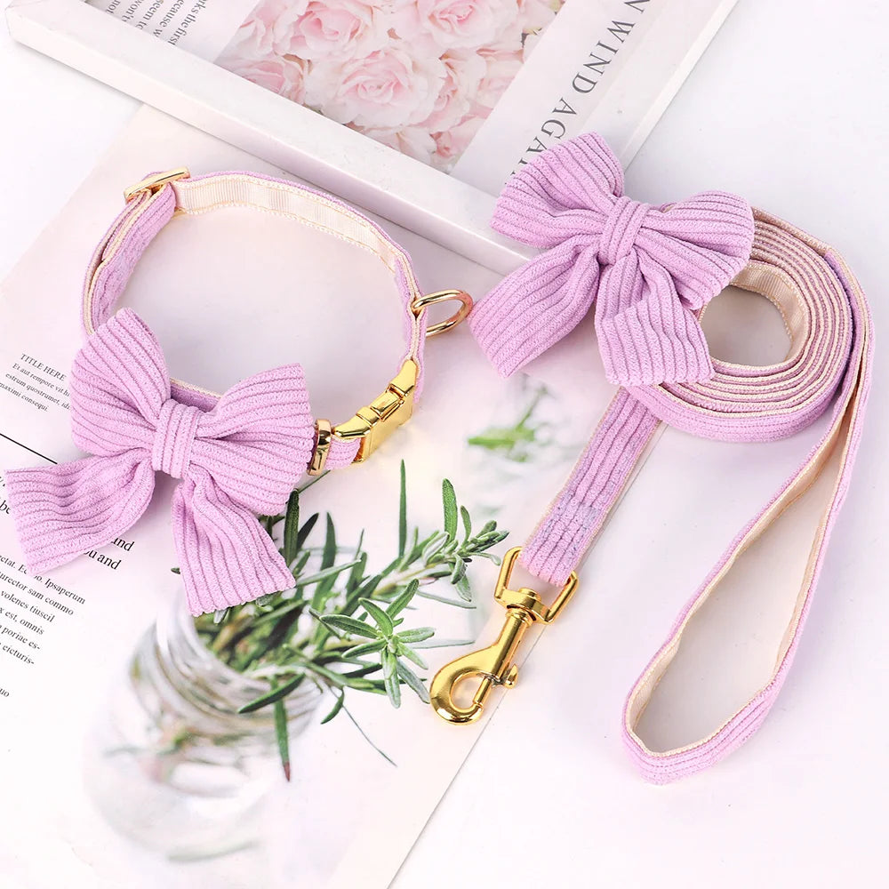 Pink dog collar and leash set with bow decorations on a magazine background