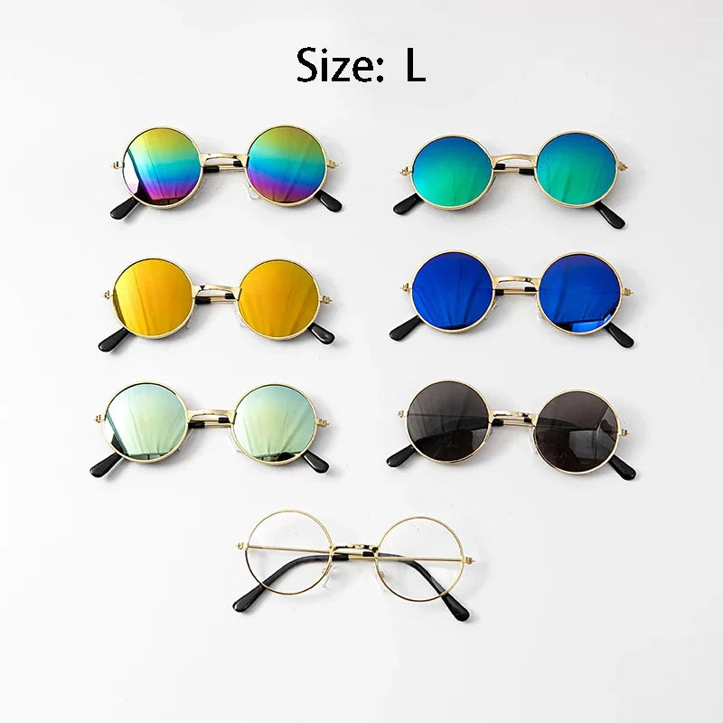Collection of colorful round sunglasses with gold frames on a white background