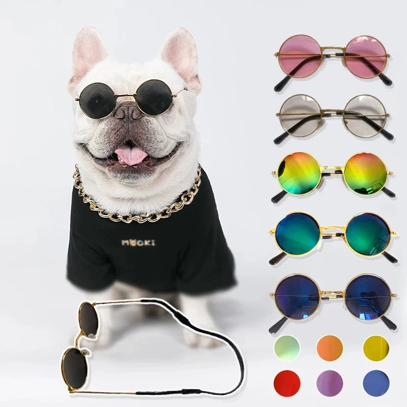 Dog wearing sunglasses with a variety of colorful sunglasses displayed on a white background