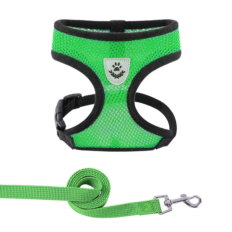 Green dog harness and leash set on a white background
