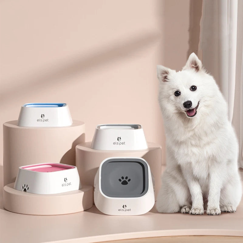 White dog sitting next to pet products on a beige surface