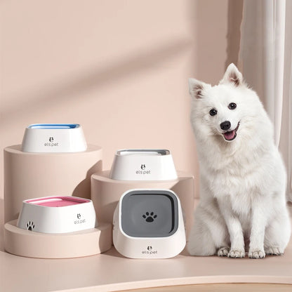 White dog sitting next to pet products on a beige surface