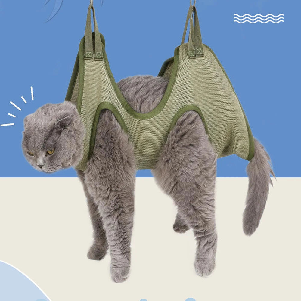 Cat wearing a green mesh hammock against a blue and beige background
