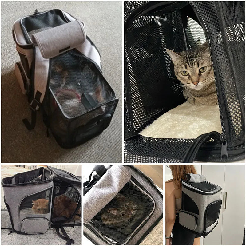 Collage of a pet carrier with a cat inside, showing different angles and uses.