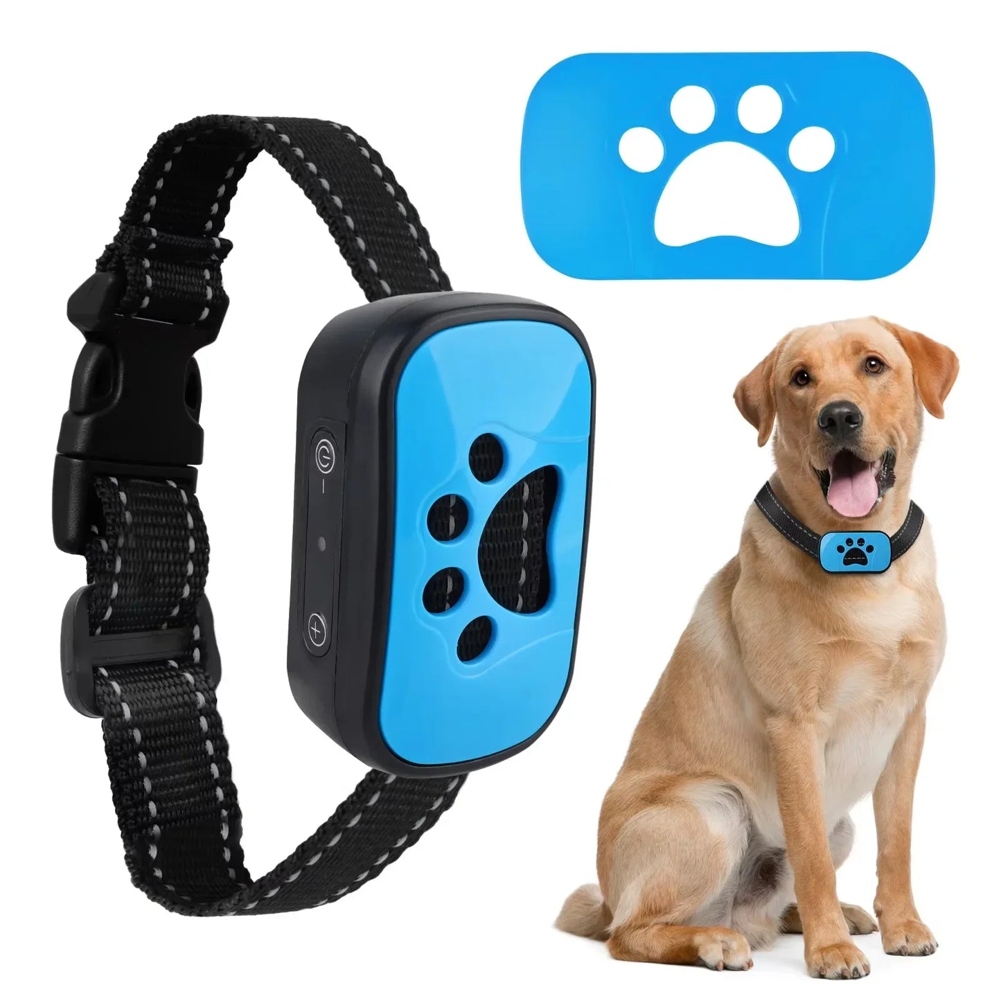 Dog collar with blue electronic device and a dog sitting next to it on a white background