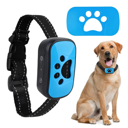 Dog collar with blue electronic device and a dog sitting next to it on a white background