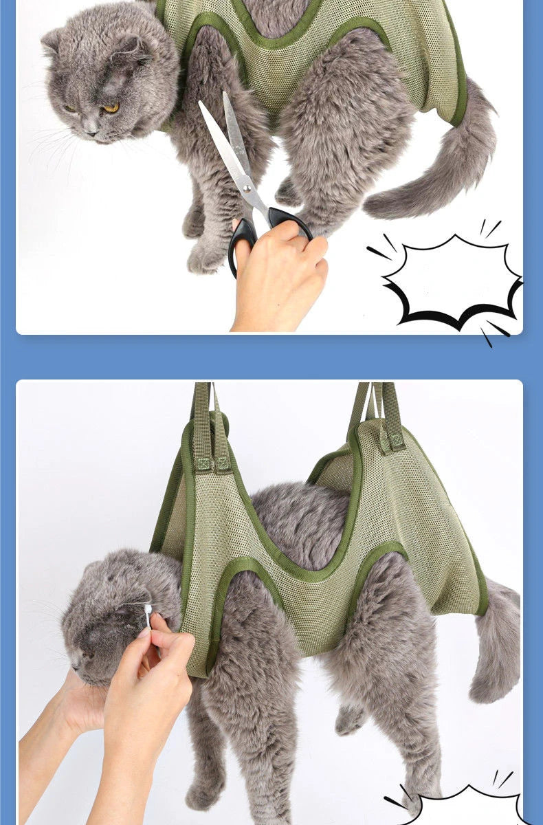 Cat being held in a green harness with a pair of scissors, on a white background.