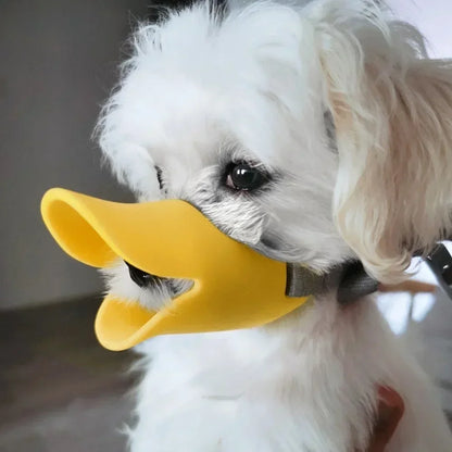 White dog wearing a yellow duck bill toy