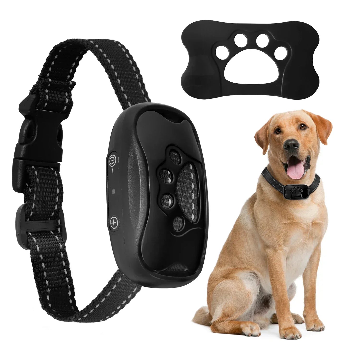Black dog collar with remote control, black pad with paw print design, and a brown dog sitting.