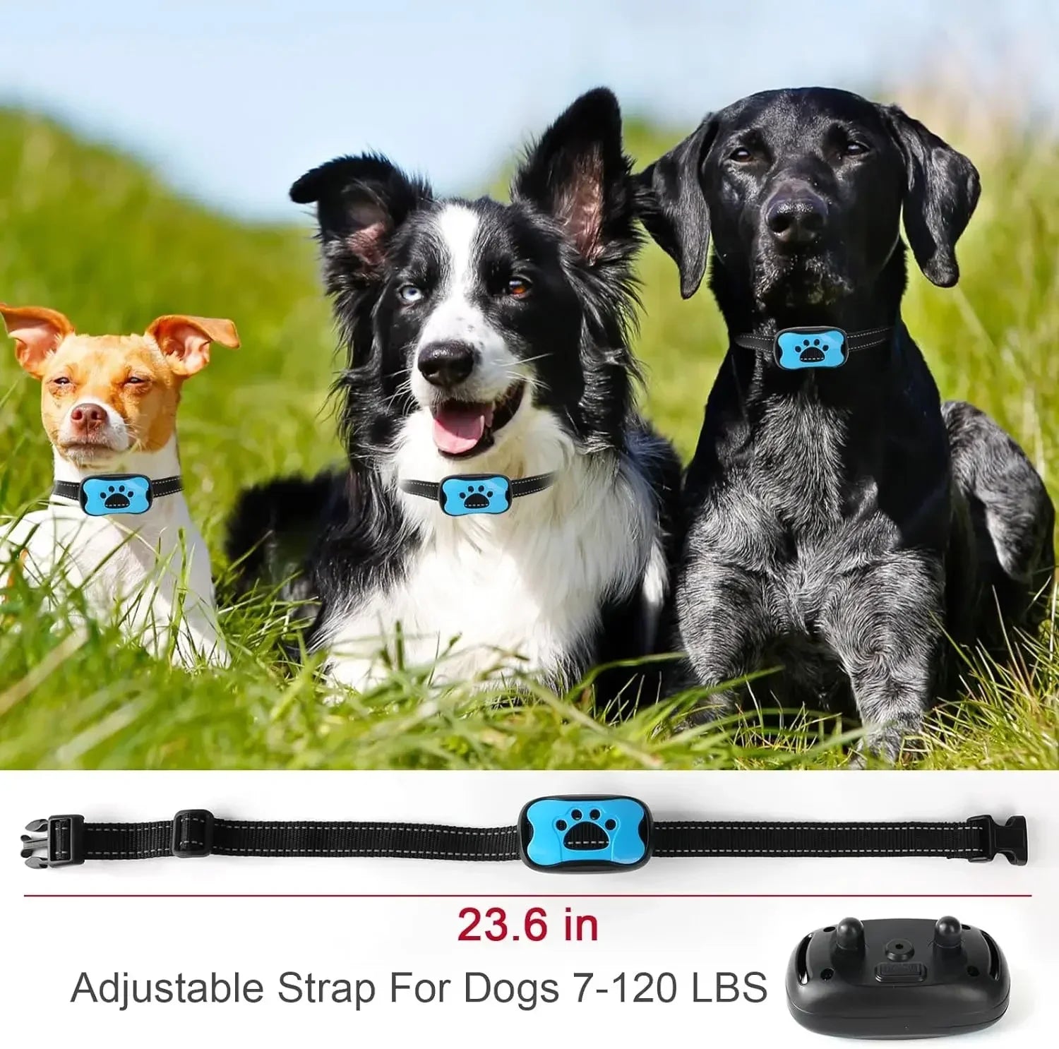 Three dogs wearing blue dog collars with an adjustable strap for dogs 7-120 lbs displayed below.