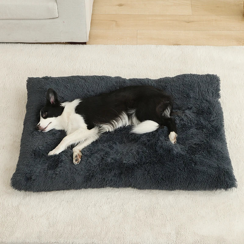 Dog lying on a fluffy gray pet bed in a home setting