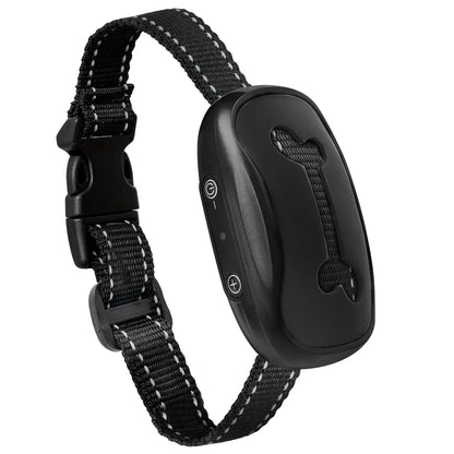 Black dog collar with electronic device on a white background