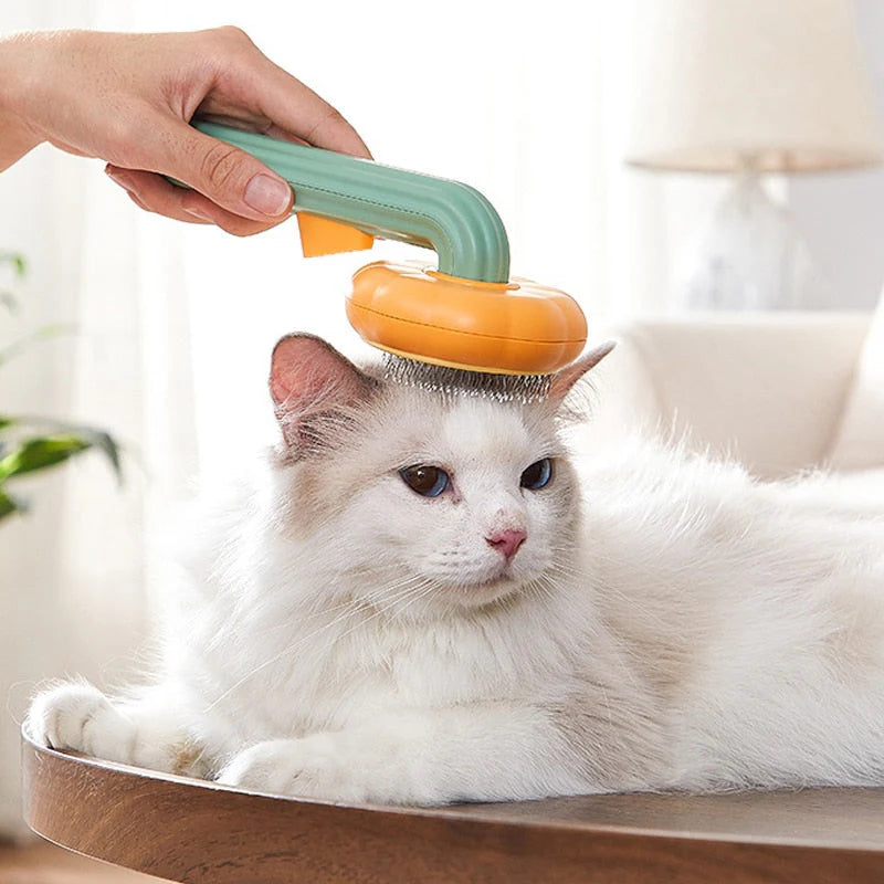 Cat being groomed with a brush held by a person, sitting on a wooden surface.