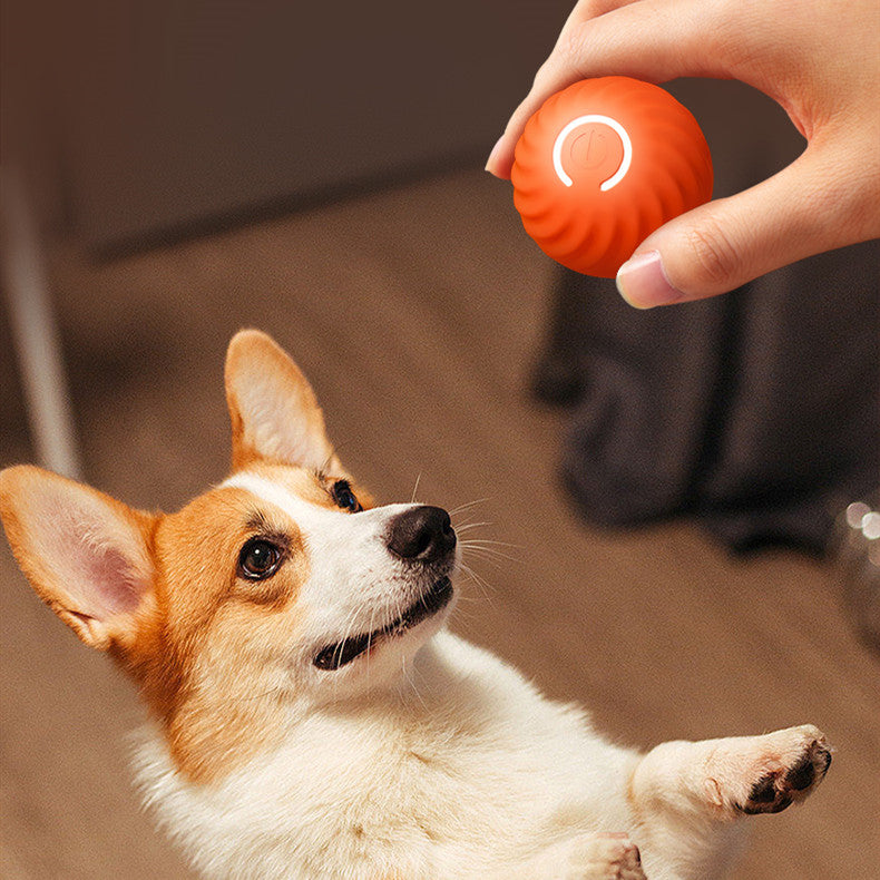 Soft Chew Ball for Puppies - Bite-Proof Dog Toy | Basic Bazaar
