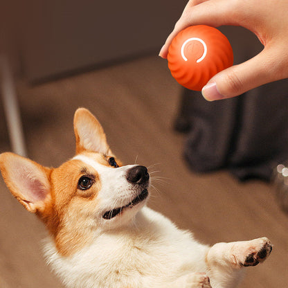 Soft Chew Ball for Puppies - Bite-Proof Dog Toy | Basic Bazaar